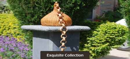 Exquisite Collection